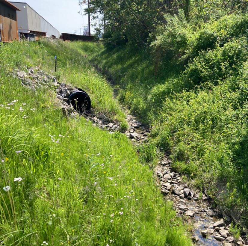 Vegetated waterway